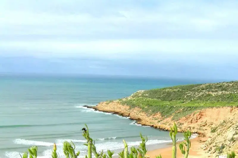 Essaouira Beach